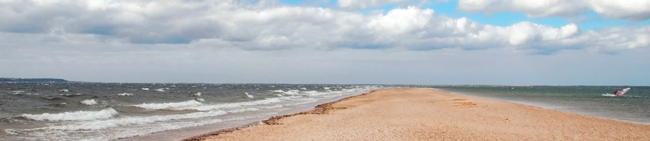 galeria
